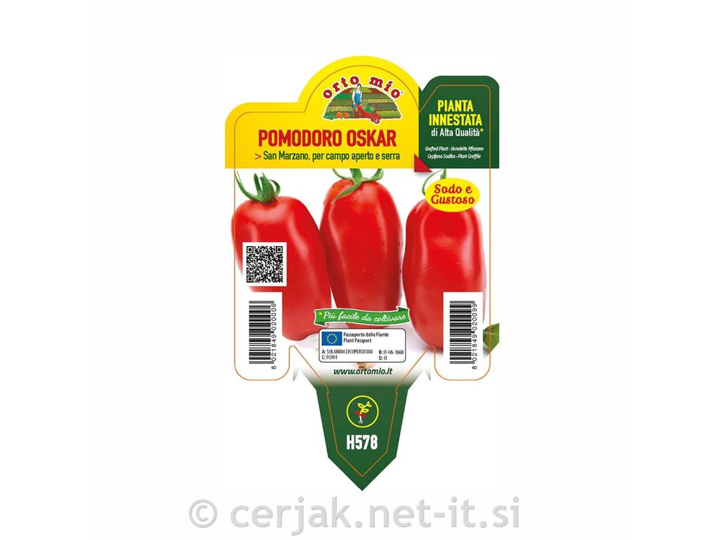 Paradižnik S. Marzano Oskar F1