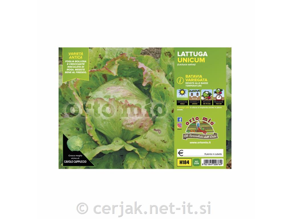 Solata glavnata Unicum, 9 kos