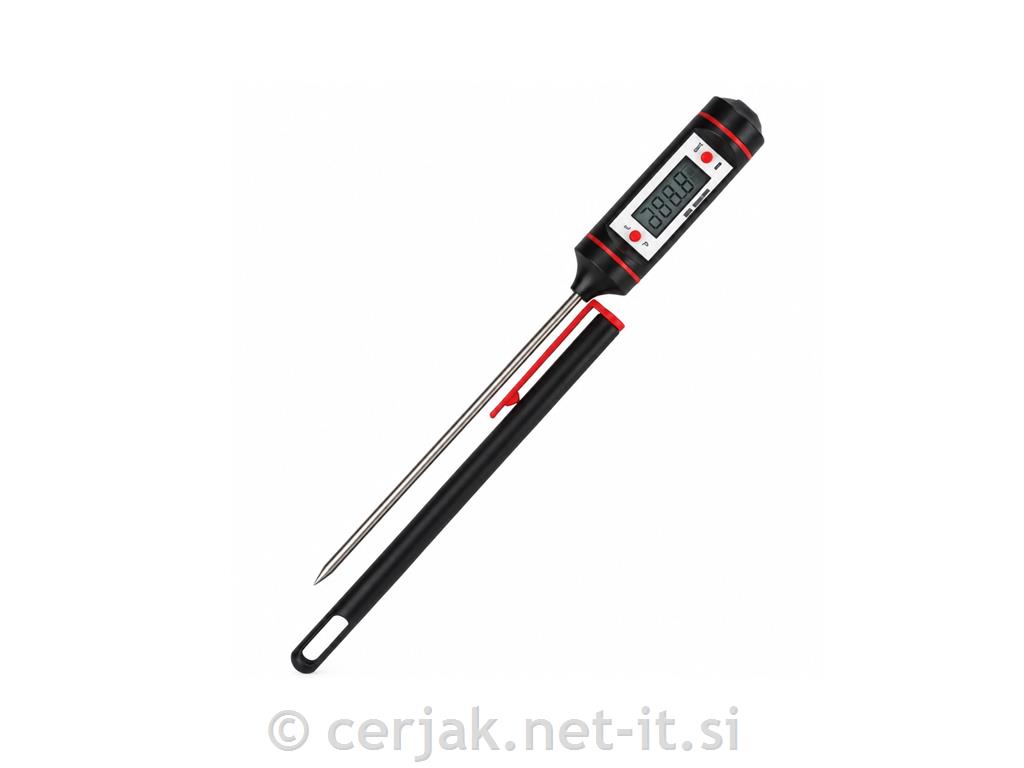 Vbodni termometer digitalni