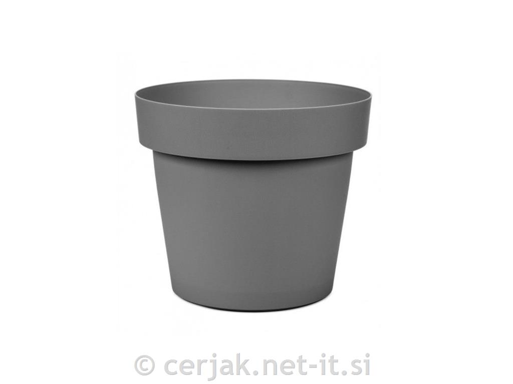 Lonec Melrose, 50 cm, siv