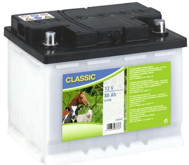 Akumulatorji za pašne ograje 12V, 80Ah