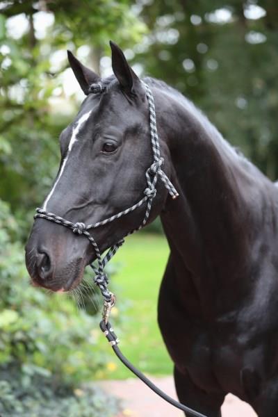 Povodec Pony, črna/siva