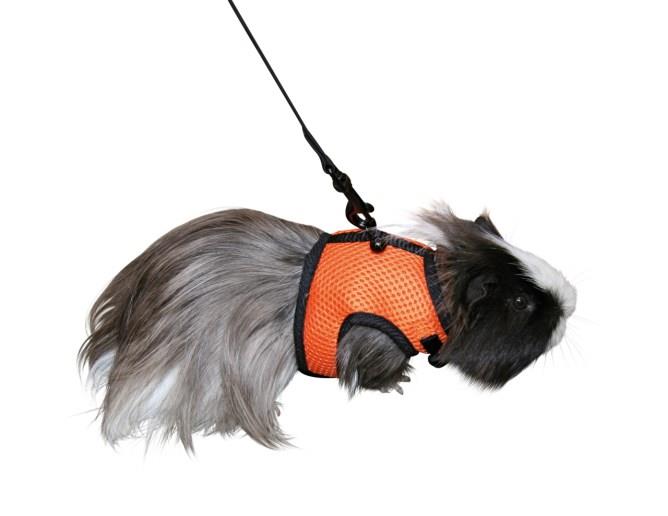 Oprsnica za glodavce Sport 120cm