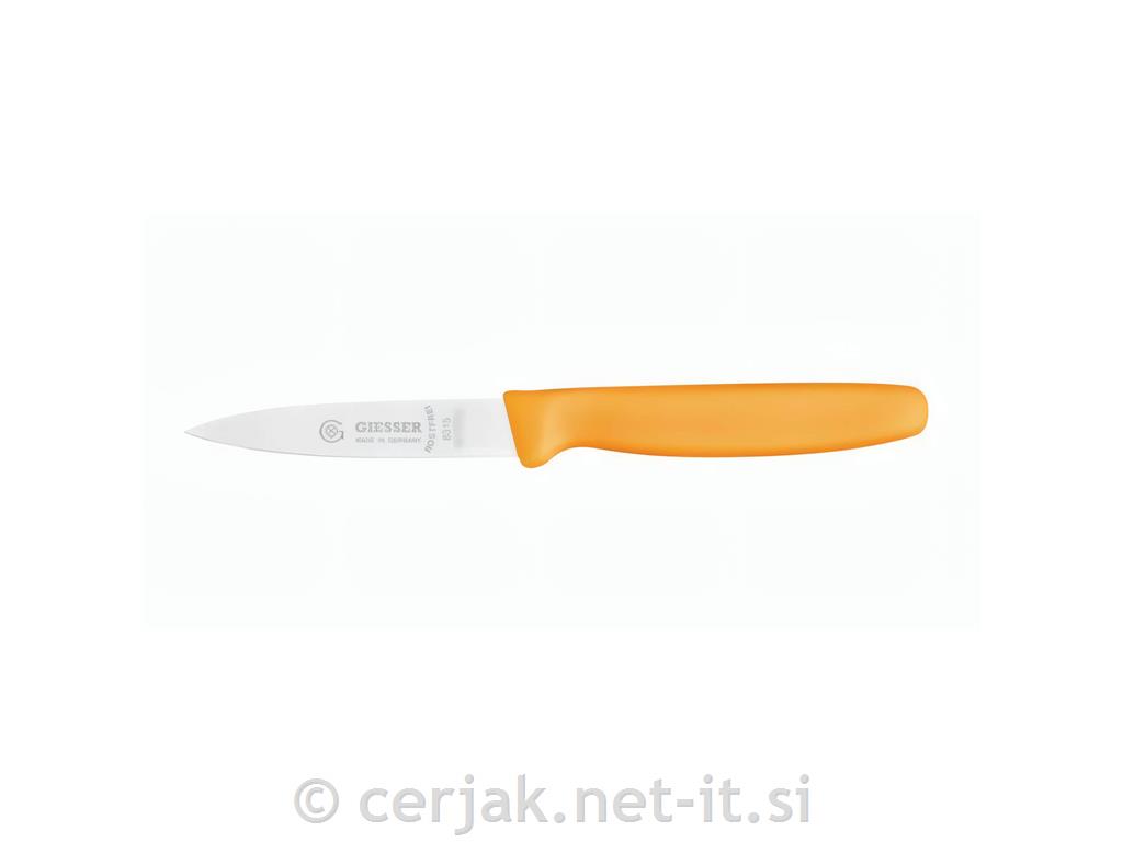 Nož 10 cm GIESSER