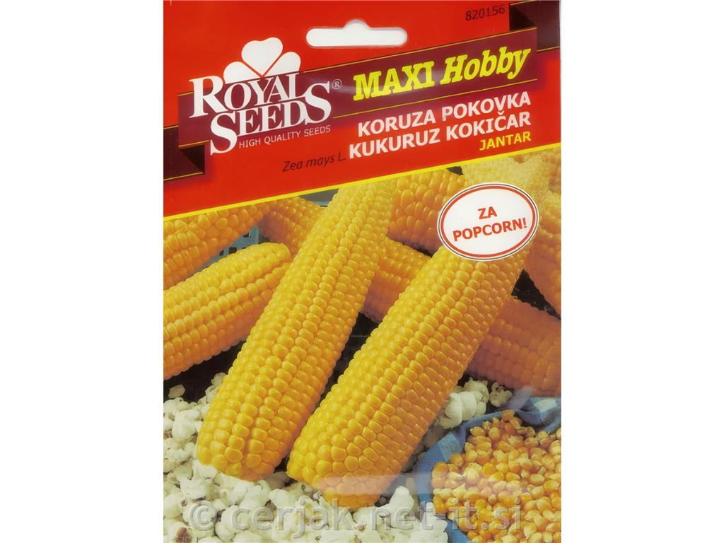 Koruza pokovka JANTAR - popcorn