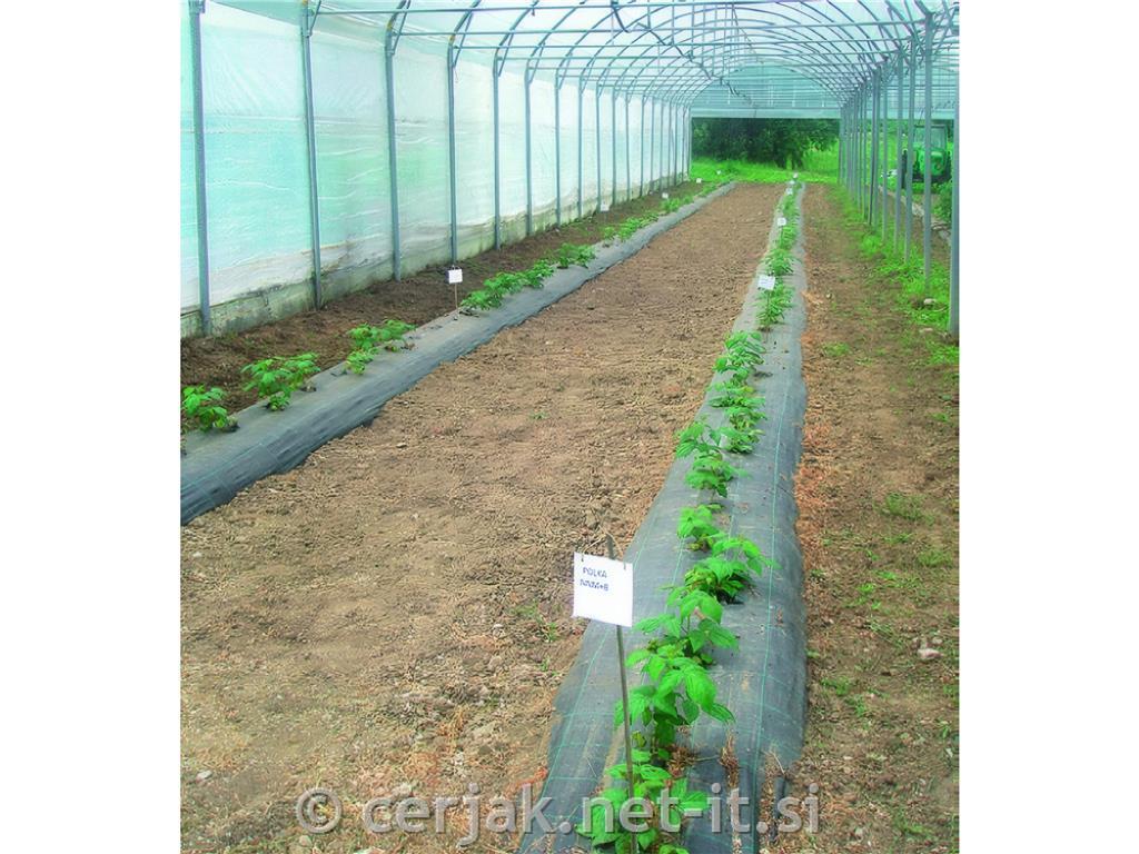 Agrotekstil 100 g/m&sup2; (5,25 m)