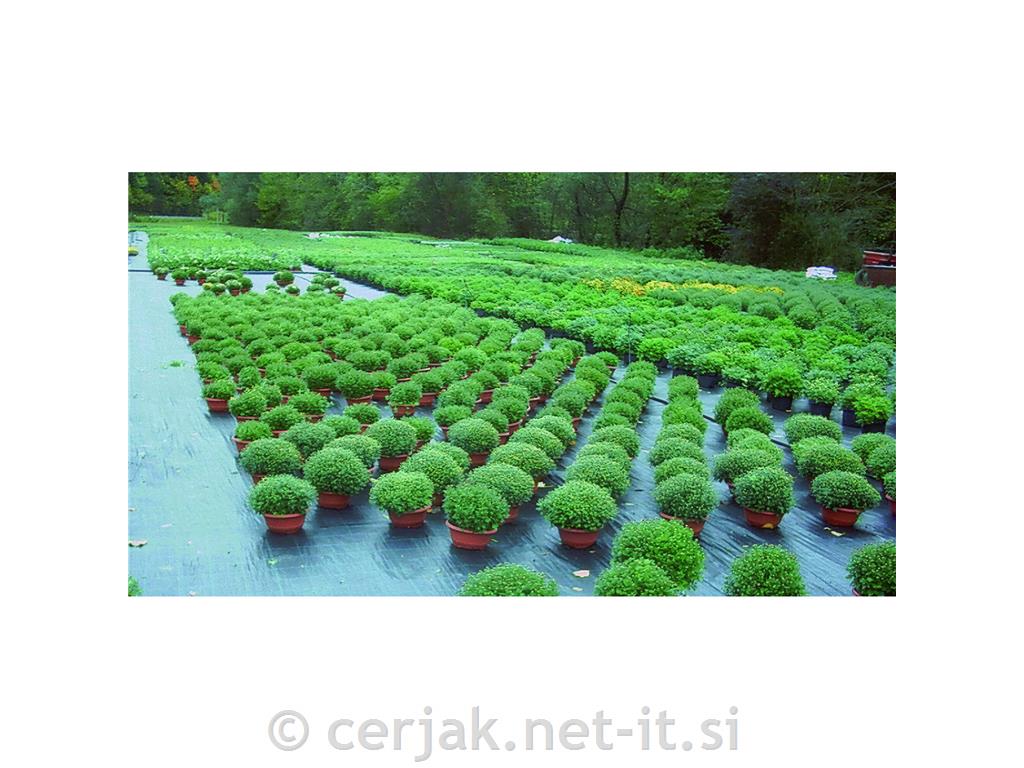 Agrotekstil 100 g/m&sup2; (2,10 m)