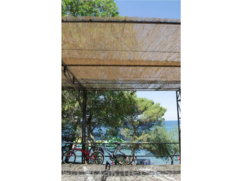 Ograja iz trstike 1.5 x 3 m