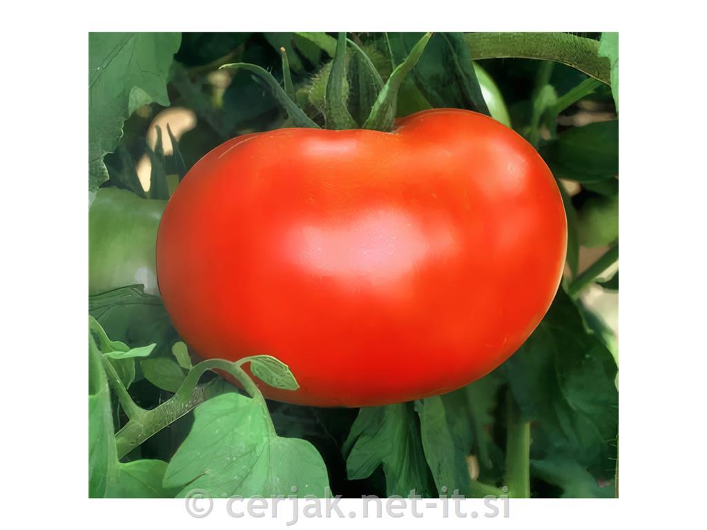 Gnojilo za paradižnike 1 kg