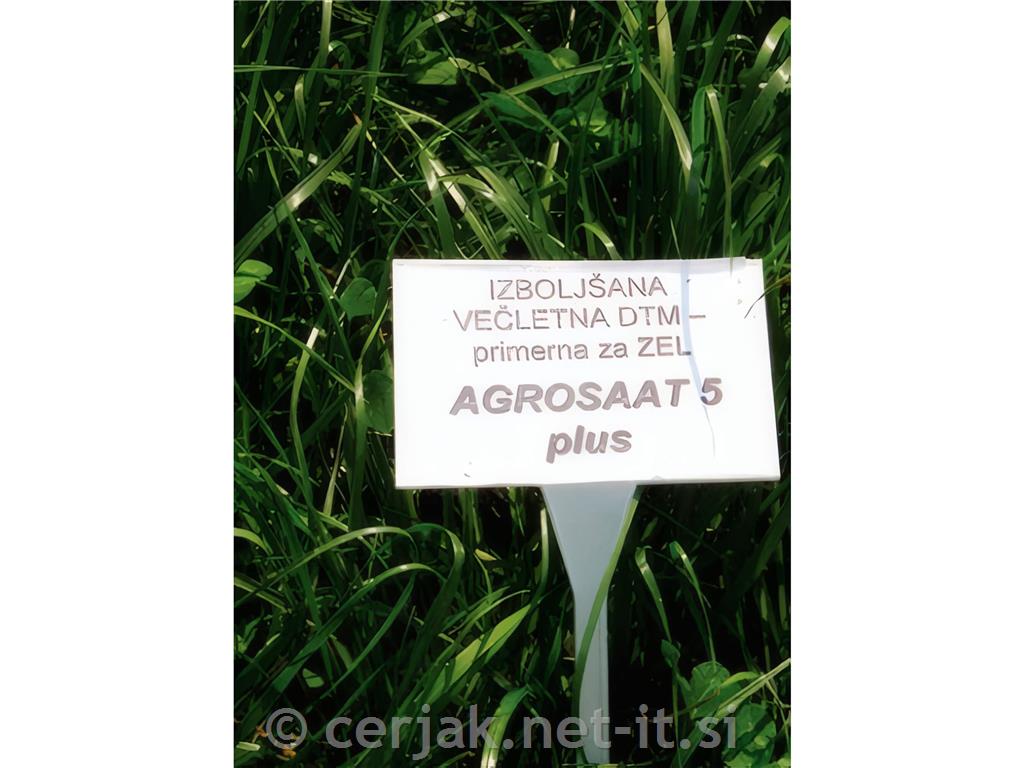 Travna mešanica Agrosaat 5 plus (za njivski kolobar) 10 kg