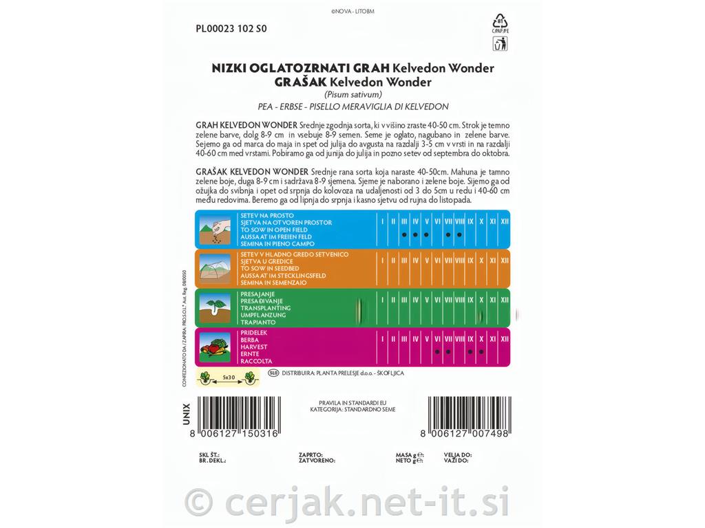 Grah nizki oglatozrnati Kelvedon Wonder, 40 g