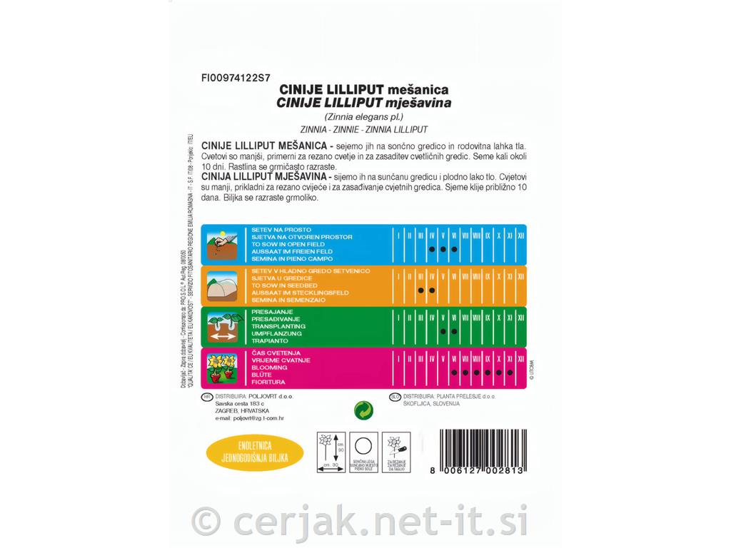 Cinija Liliput (Zinnia elegans), 1 g