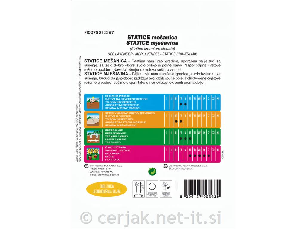 Statice (Statice limonium), 0,3 g