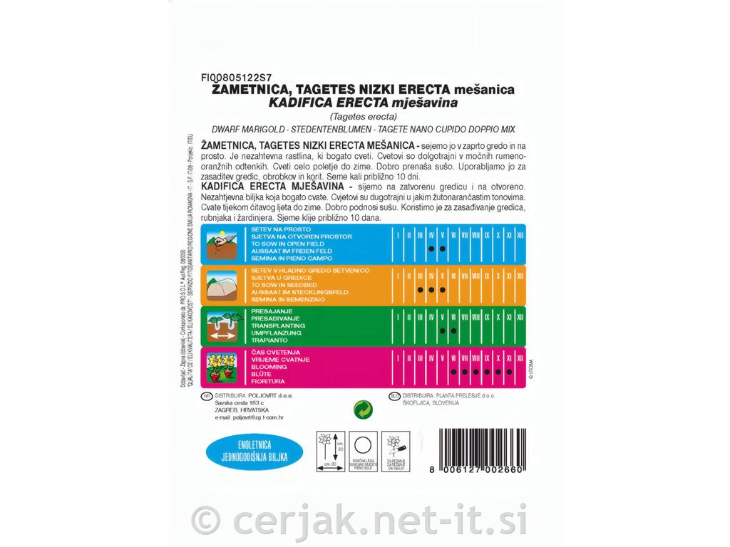Žametnica nizka mešanica (Tagetes patula), 1 g