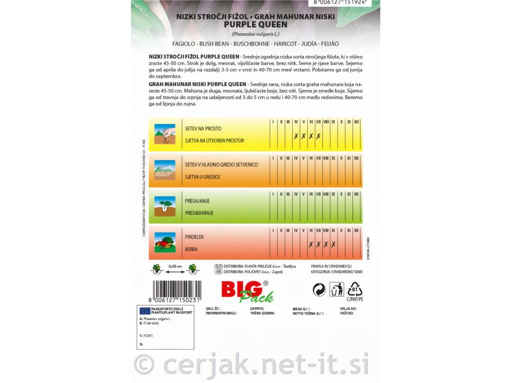 Nizki stročji fižol Purple Queen 70g