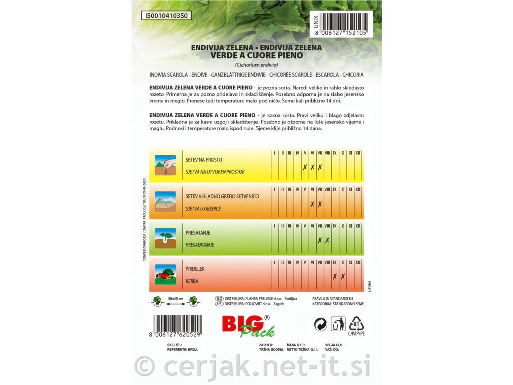 Endivja zelena 20g