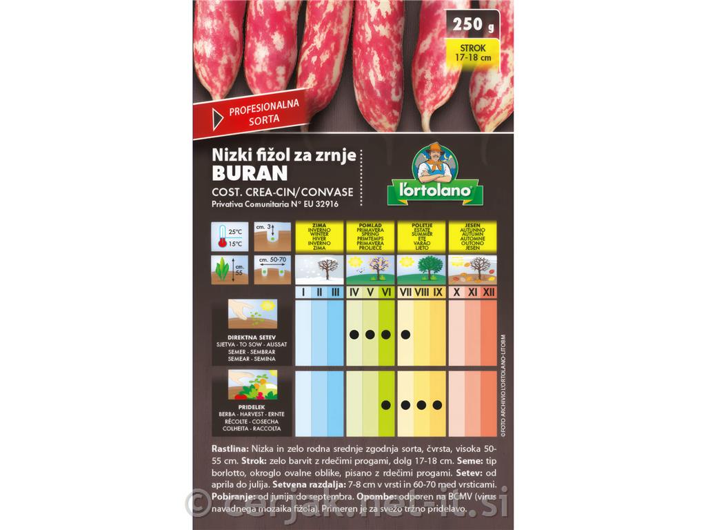 Nizki fižol za zrnje Buran 250g