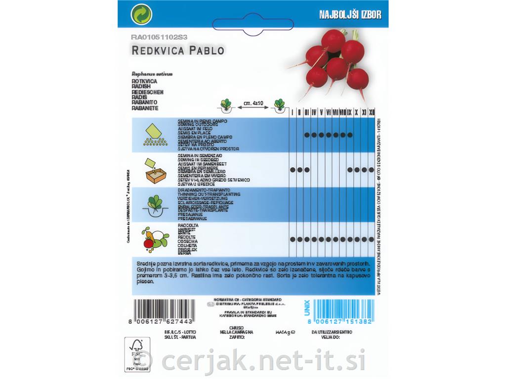 Redkvica Pablo 8g
