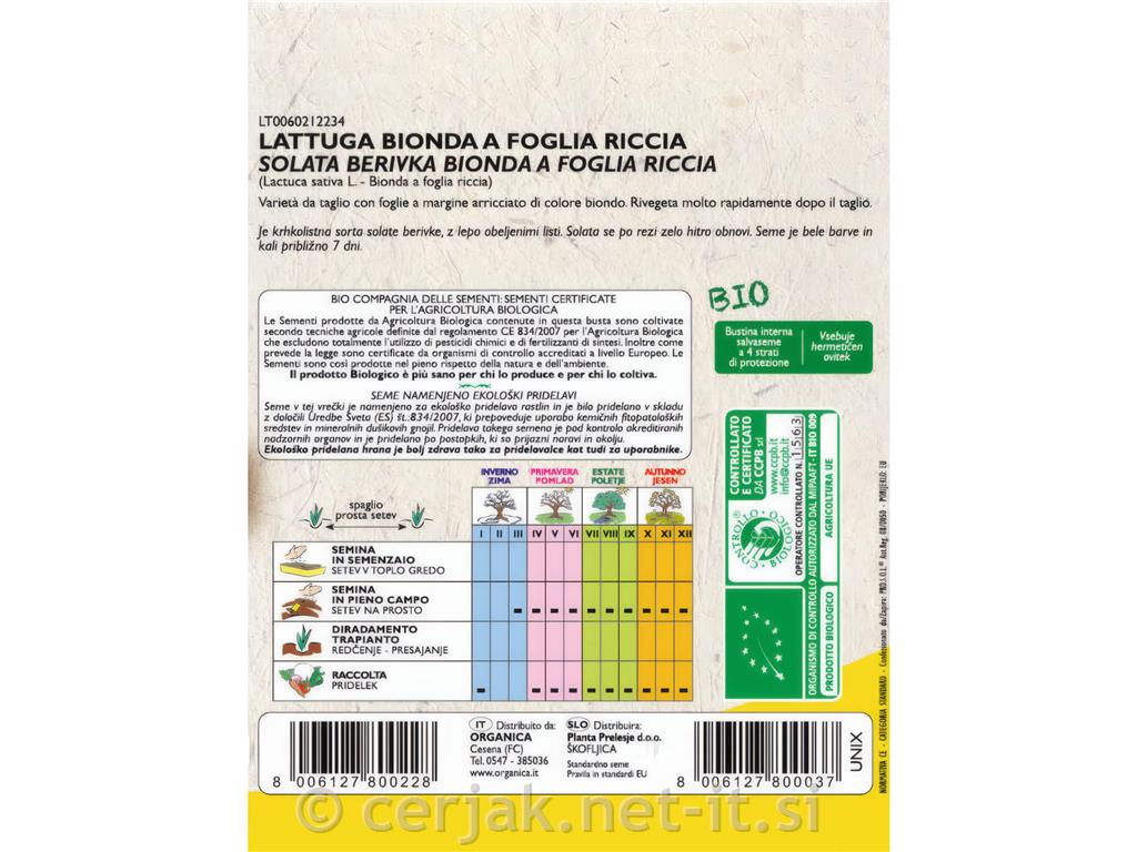 Solata Bionda a foglia riccia EKO 7 g