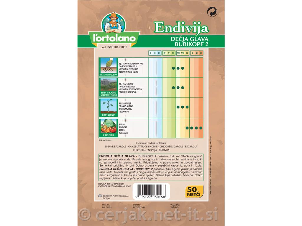 Endivija Dečkova glava 50 g