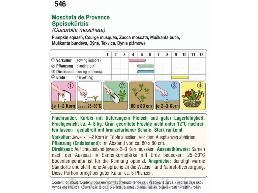 Buče Moschata de Provance, 5g