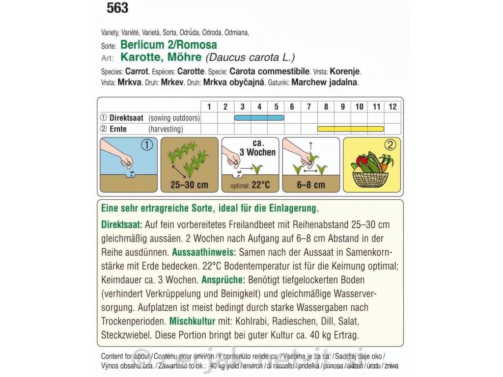 Korenček Berlicum 2/ Ramosa