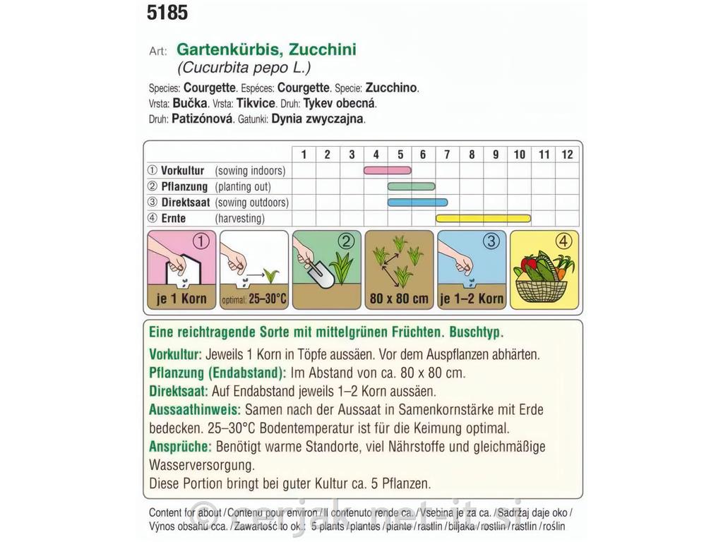 Jedilne buče Zucchini Tempra F1 EKO