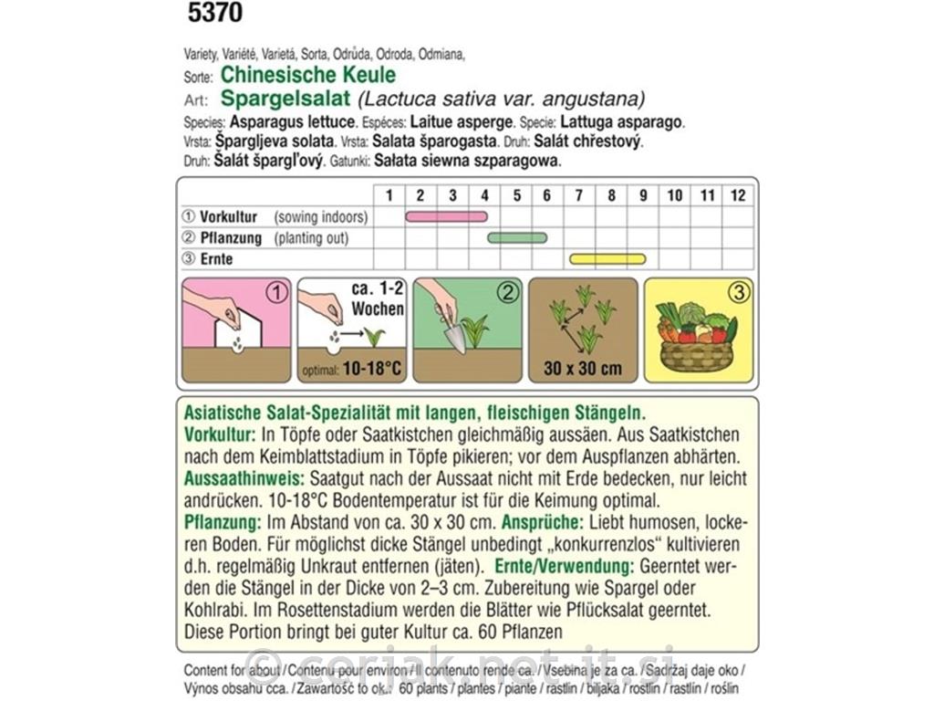 Solata Špargljeva BIO
