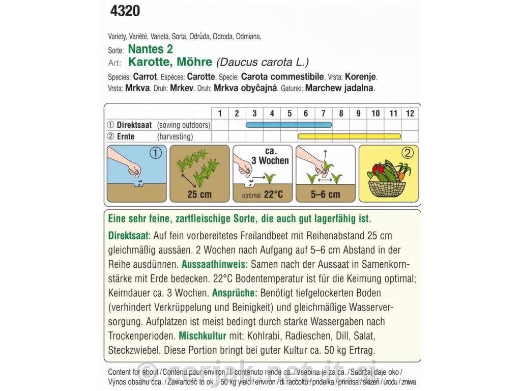 Korenček Nantes 2, 12g