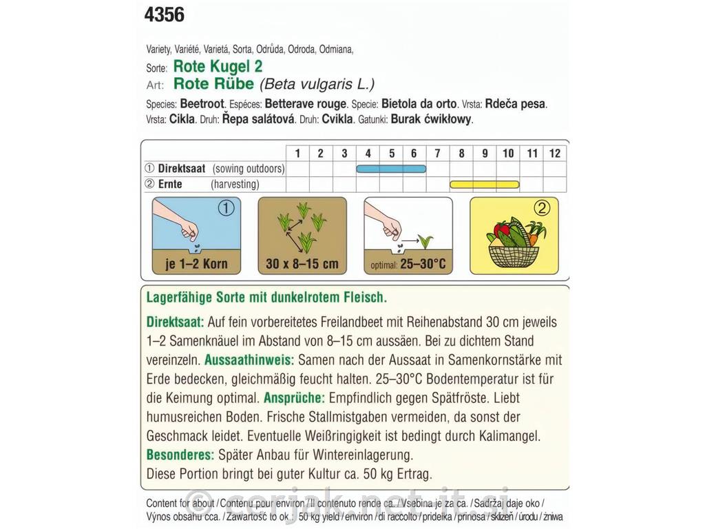Rdeča pesa Rote Kugel 2, 18g