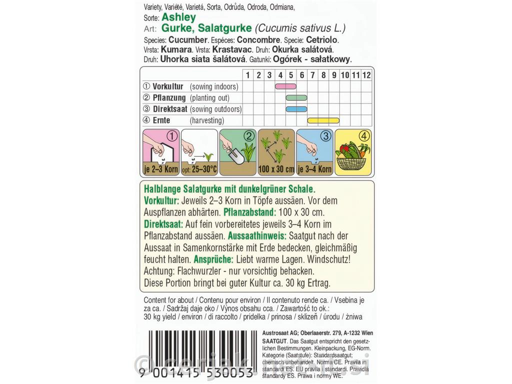 Kumare Ashley 5g
