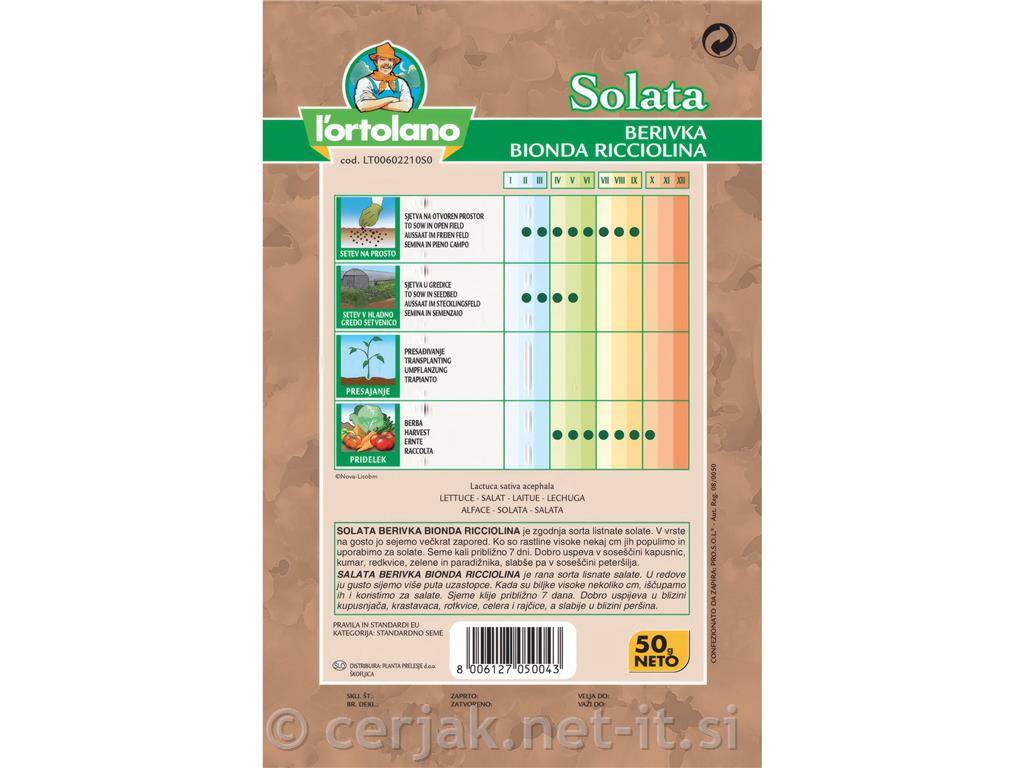 Solata berivka za rezanje, 50 g