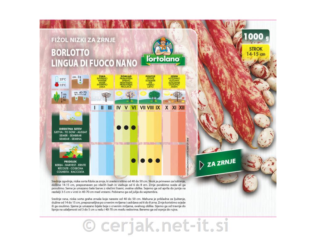 Fižol nizki za zrnje Borlotto 1 kg