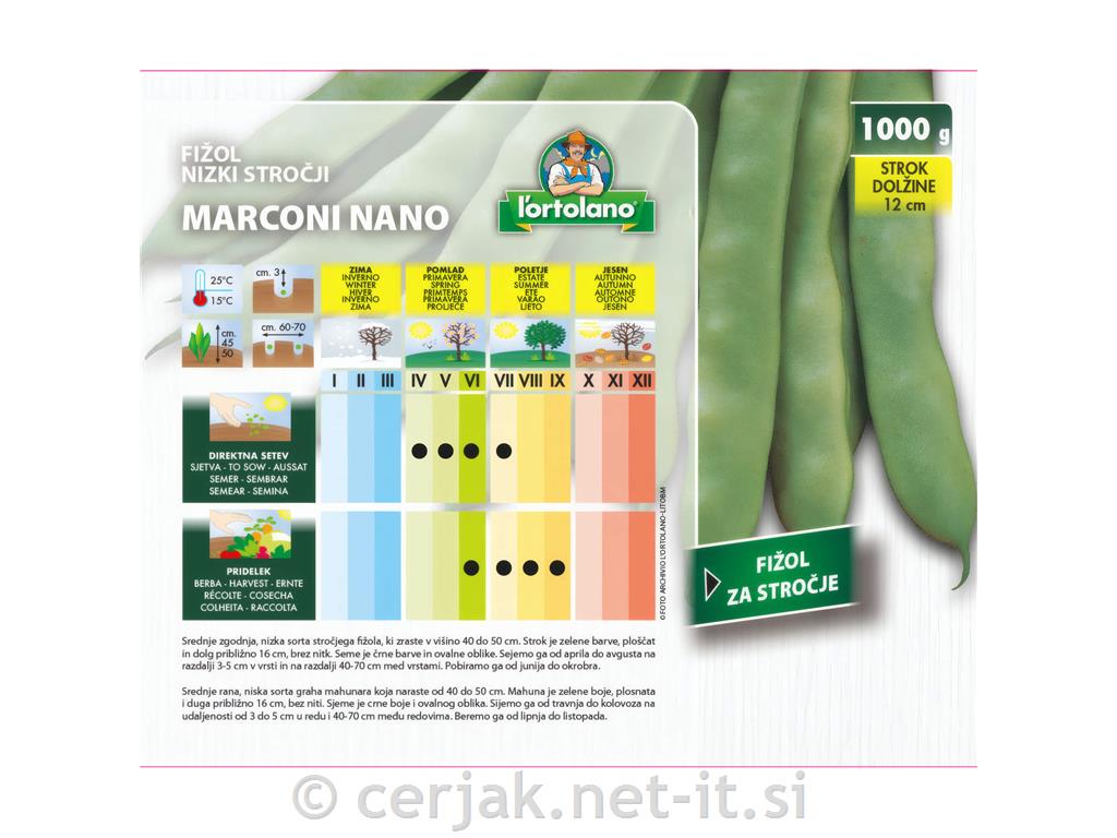 Nizki stročji fižol Marconi nano 1kg