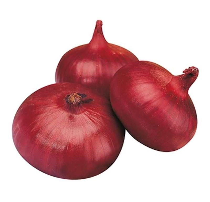 Čebula Rossa di Breme, 12 kos