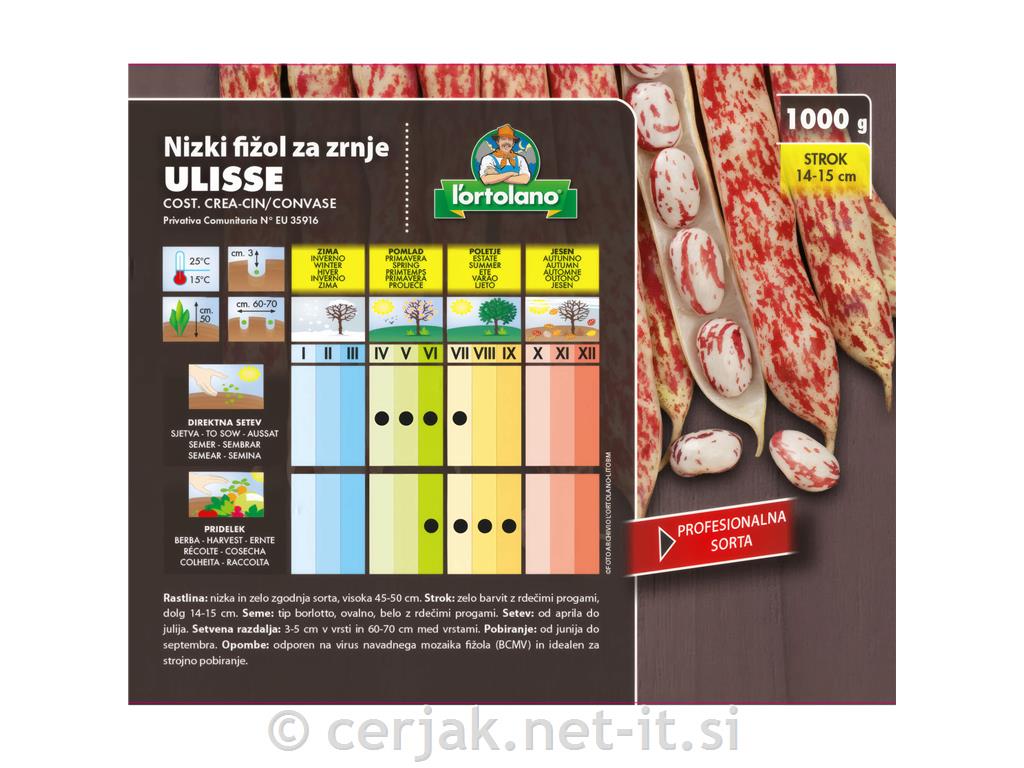 Fižol nizki Ulisse 1kg