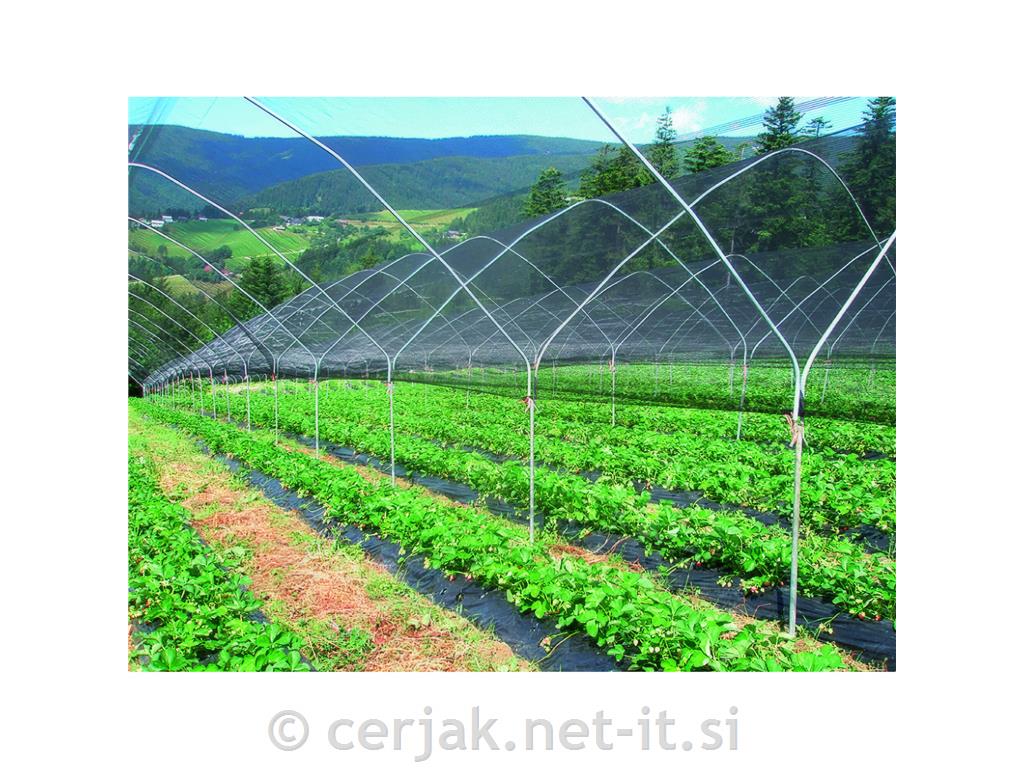 Mreža proti toči dvojno tkana, 2,5 m