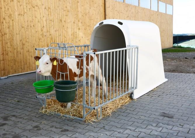 Staja CalfHouse Premium Plus z ograjo v lažji izvedbi