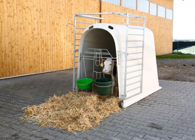Staja CalfHouse Premium Plus z ograjo v lažji izvedbi