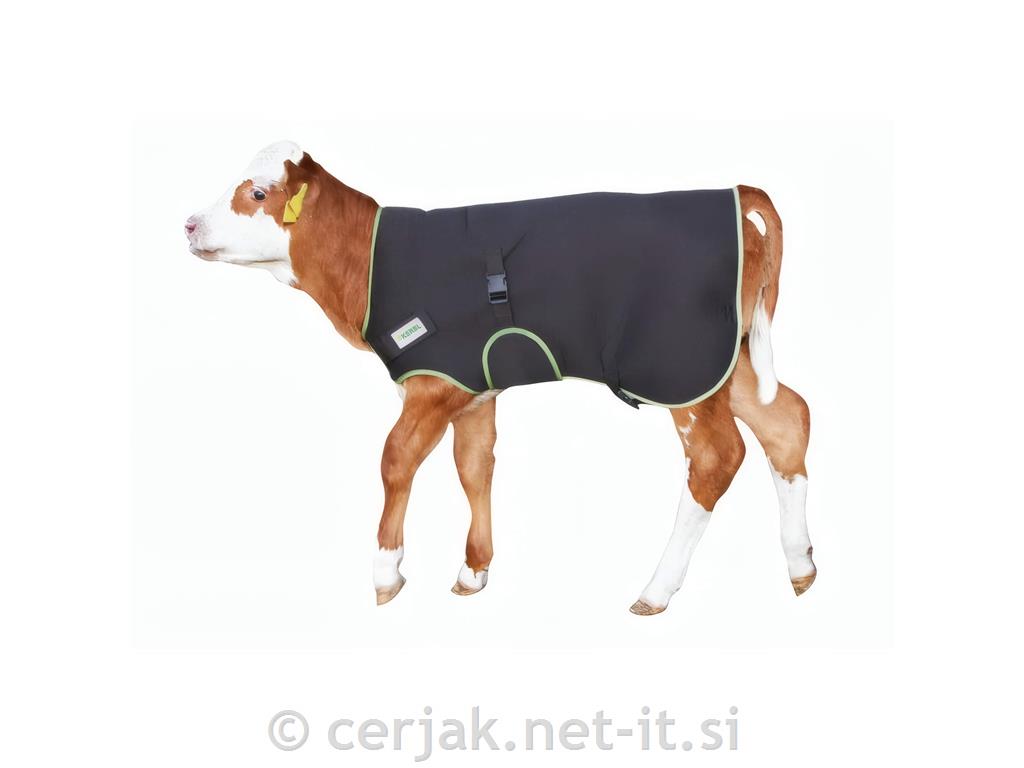 Pokrivalo za teleta Premium 70cm