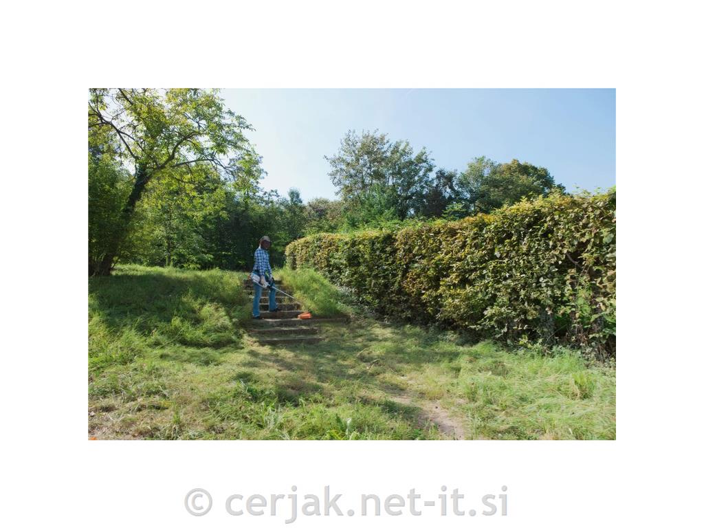 Električna kosa FSE 81 AutoCut C 6-2 STIHL