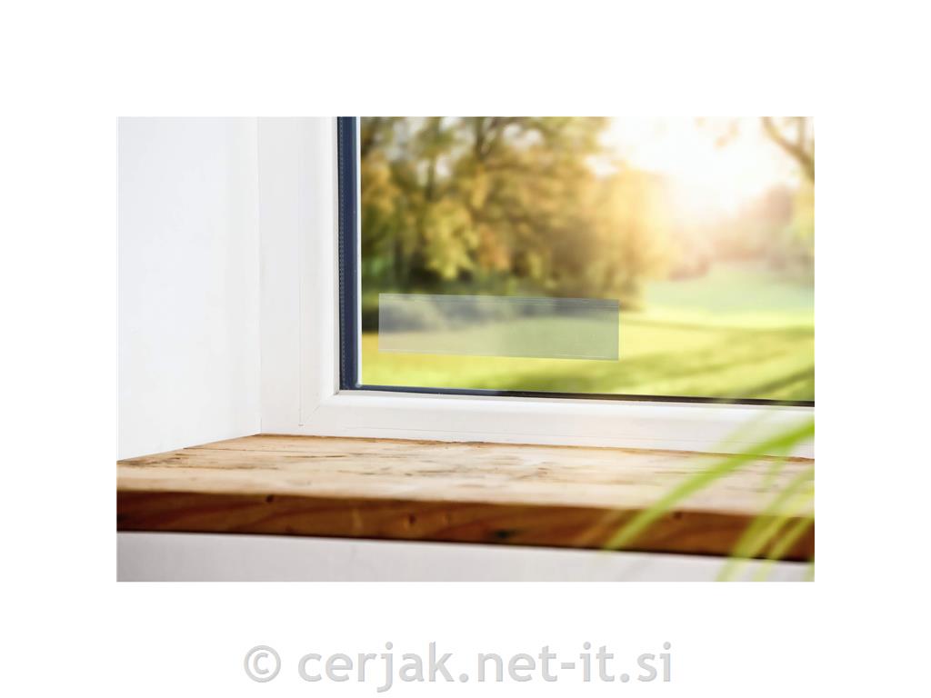 Muholovec okenski