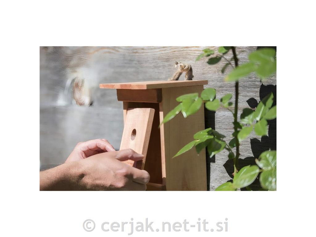Windhager valilnica za ptice Birdy, lesena