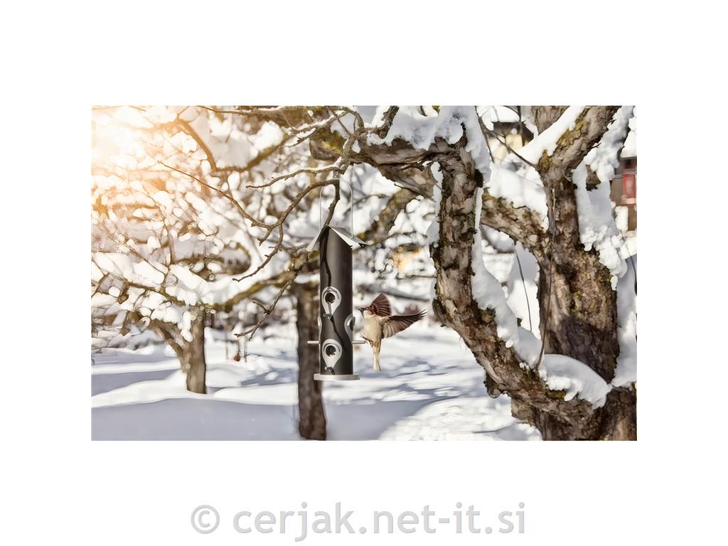 Windhager komarnik za okno Plus 1 x 1,3m, bel