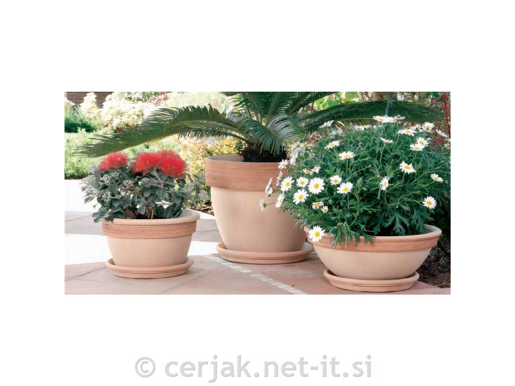 Glinen cvetlični lonec Graffiato Ciclamin 28 cm