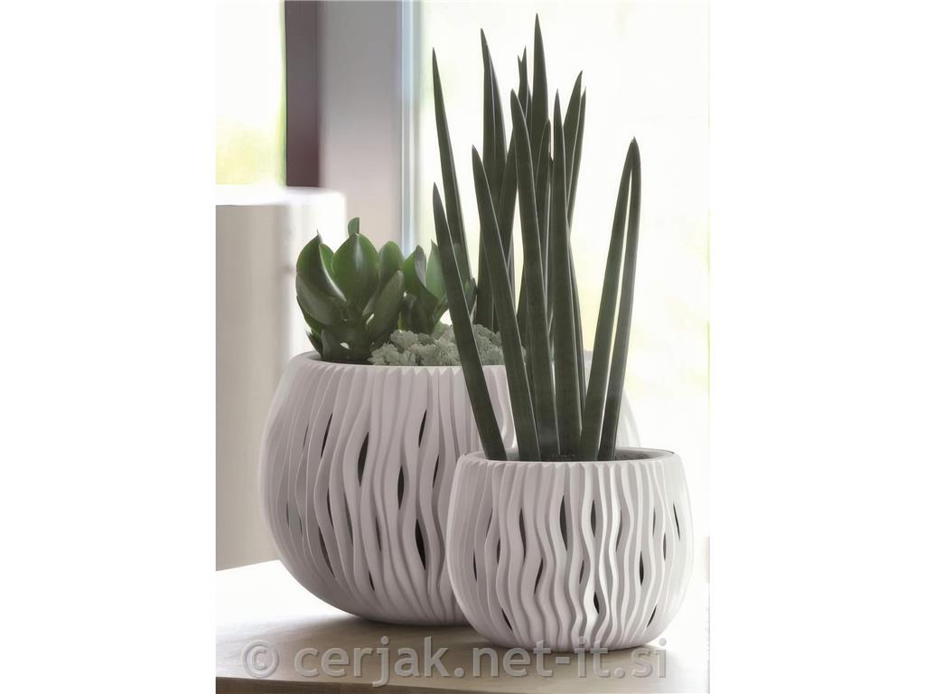 Lonec cvetlični Sandy bela, 24cm