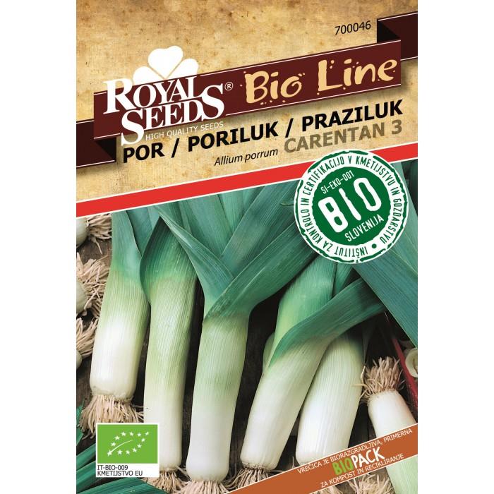 Čebulnice