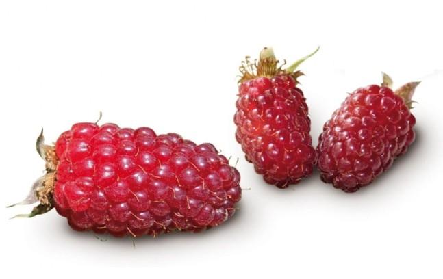 Tayberry