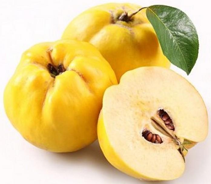 Kutina