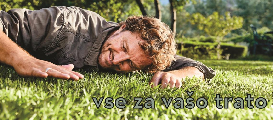 Nega zelenice